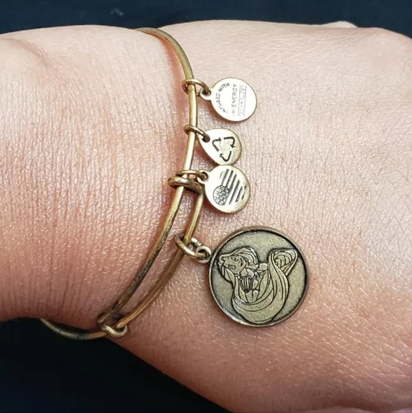 Disney ALEX AND ANI Princess Rapunzel Gold Tone Bangle Charm Bracelet RETIRED